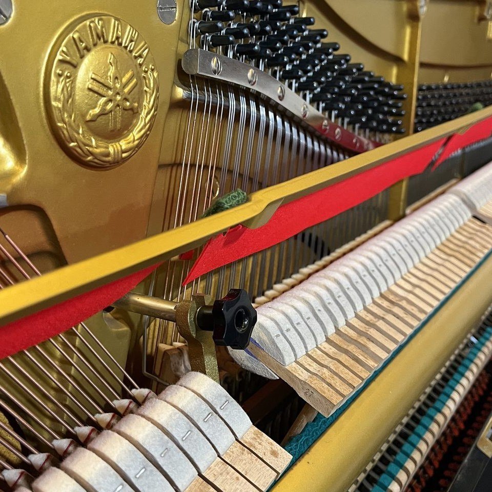 Hydraulic Piano Soft-Close Device