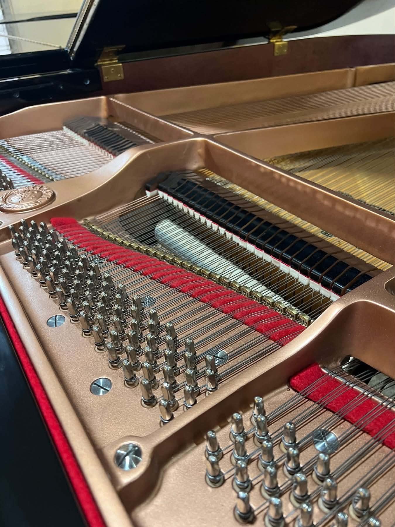 Piano Detailing & Repair