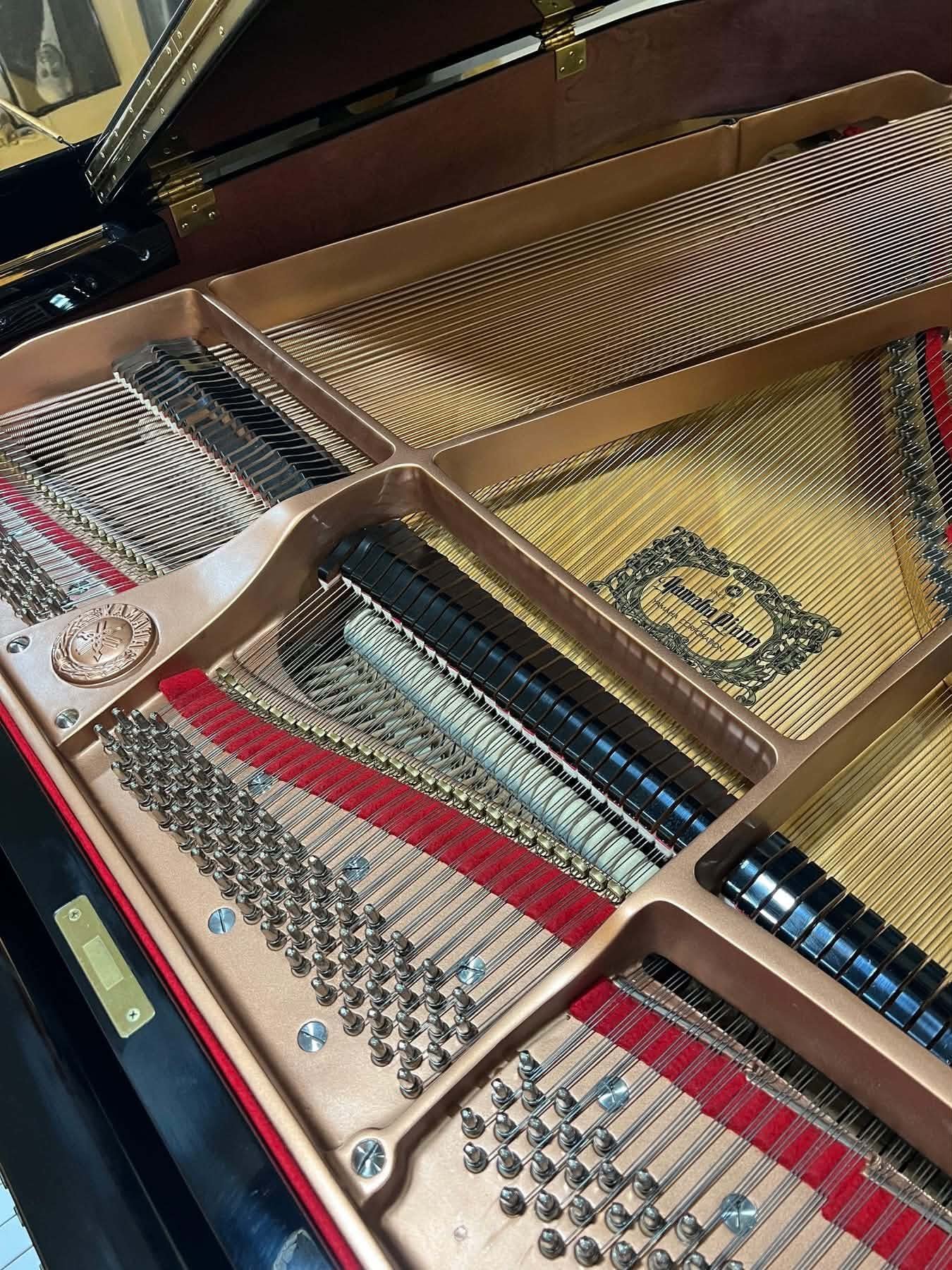 Piano Maintenance & Voicing