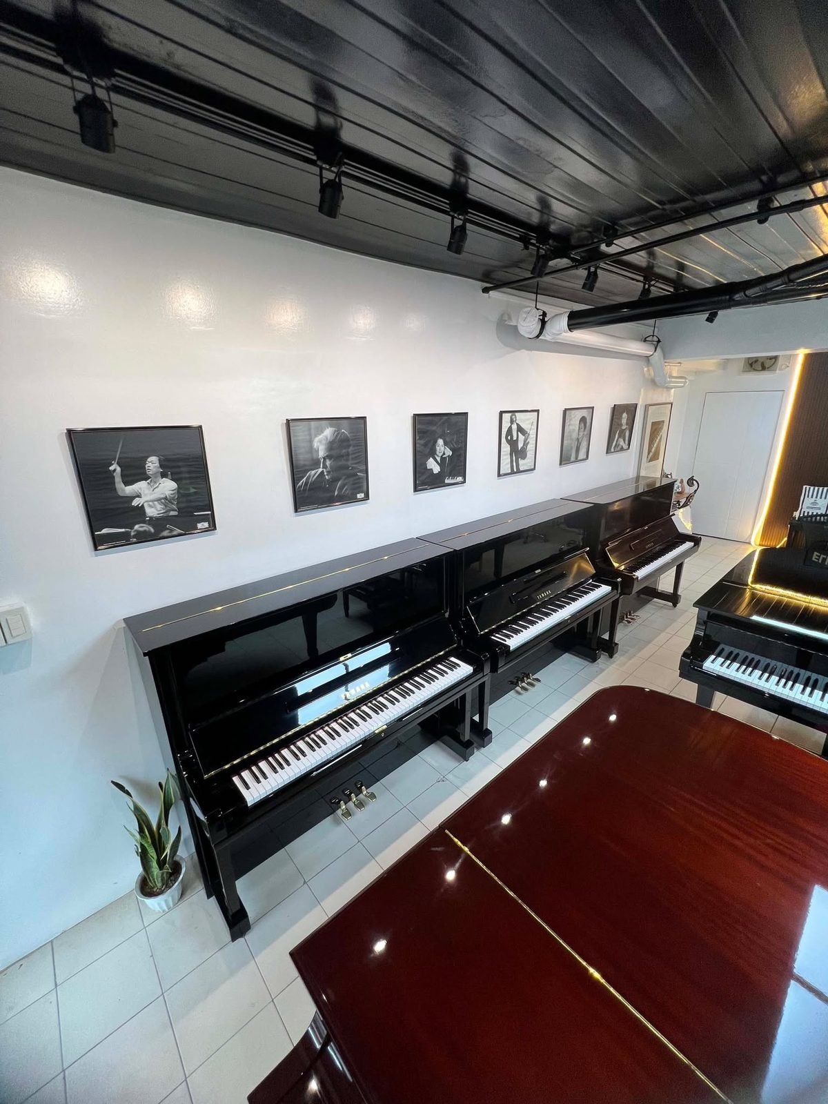 Elite Piano Center Boutique Showroom Wall