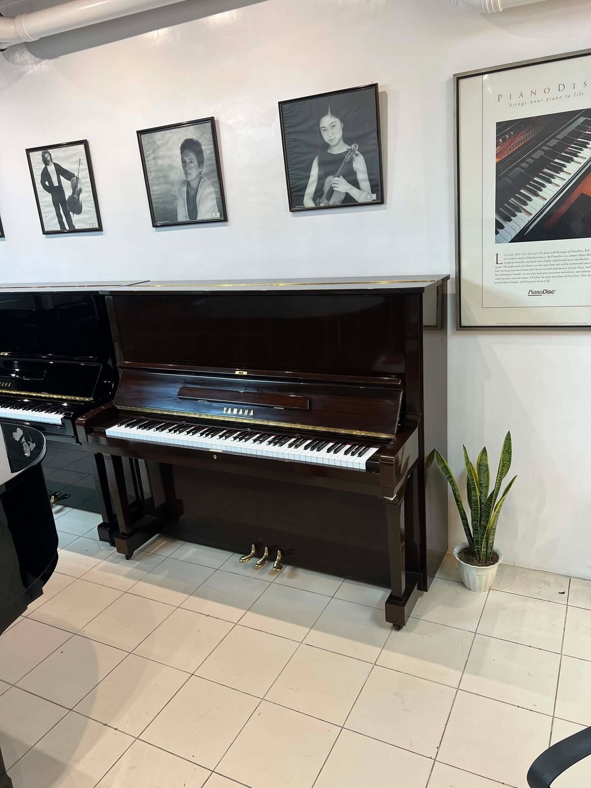 Piano Rental for Events & Concerts